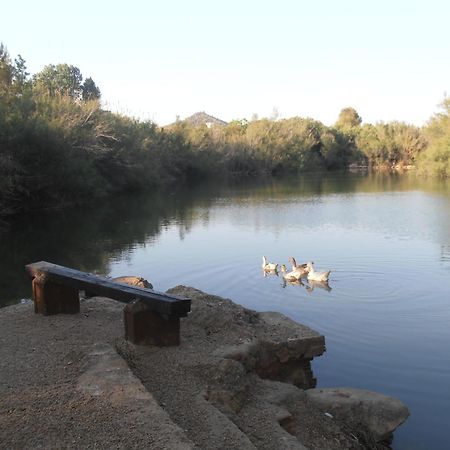 Hotel Oasis Country Park Rugat Esterno foto