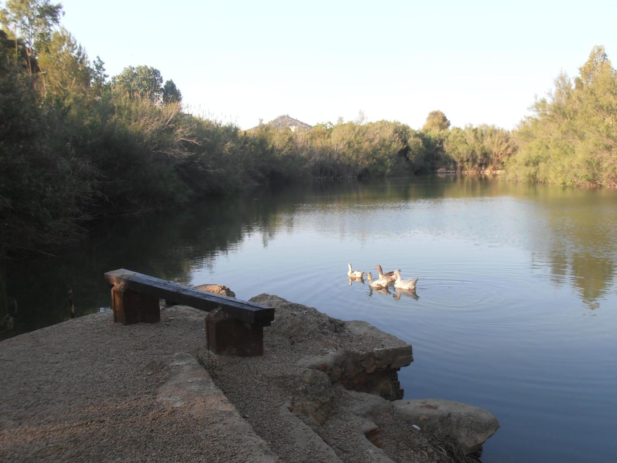 Hotel Oasis Country Park Rugat Esterno foto